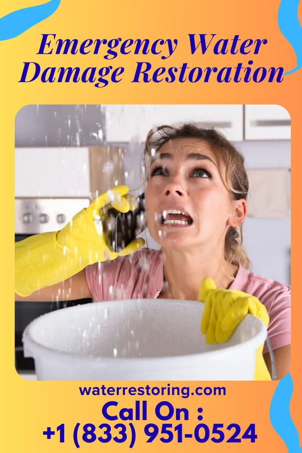 Emergency Water Damage Restoration in Park City, KY