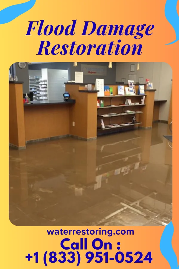 Flood Damage Restoration in Park City, KY