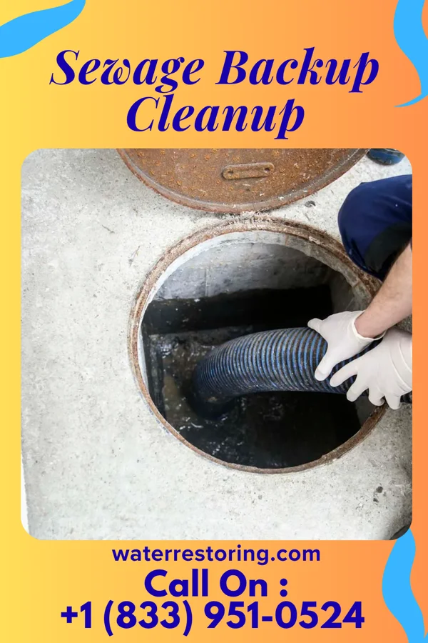 Sewage Backup Cleanup in Park City, KY