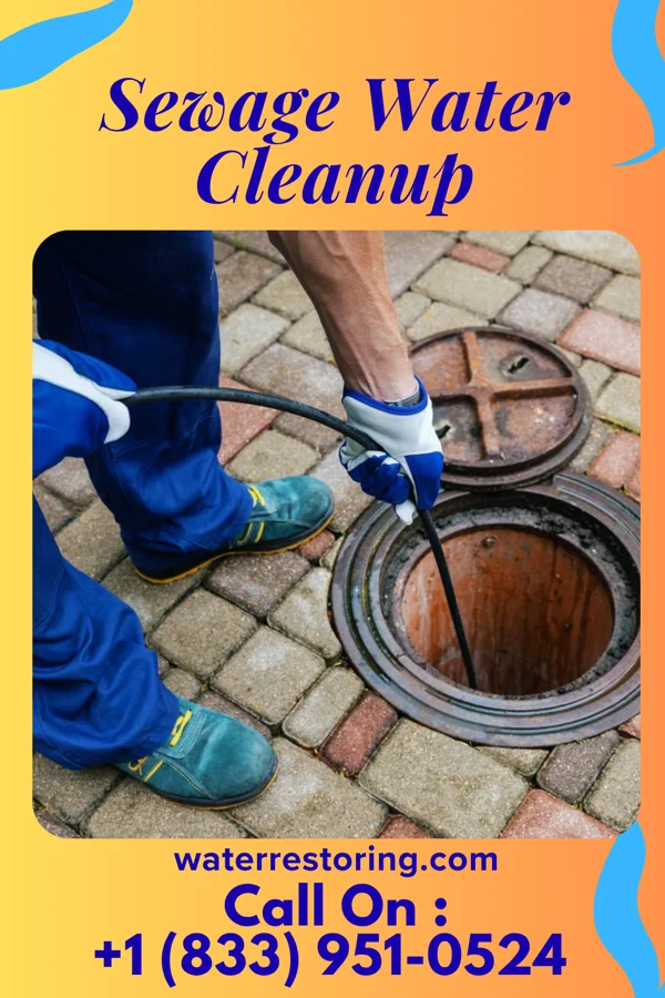 Sewage Water Cleanup in Park City, KY